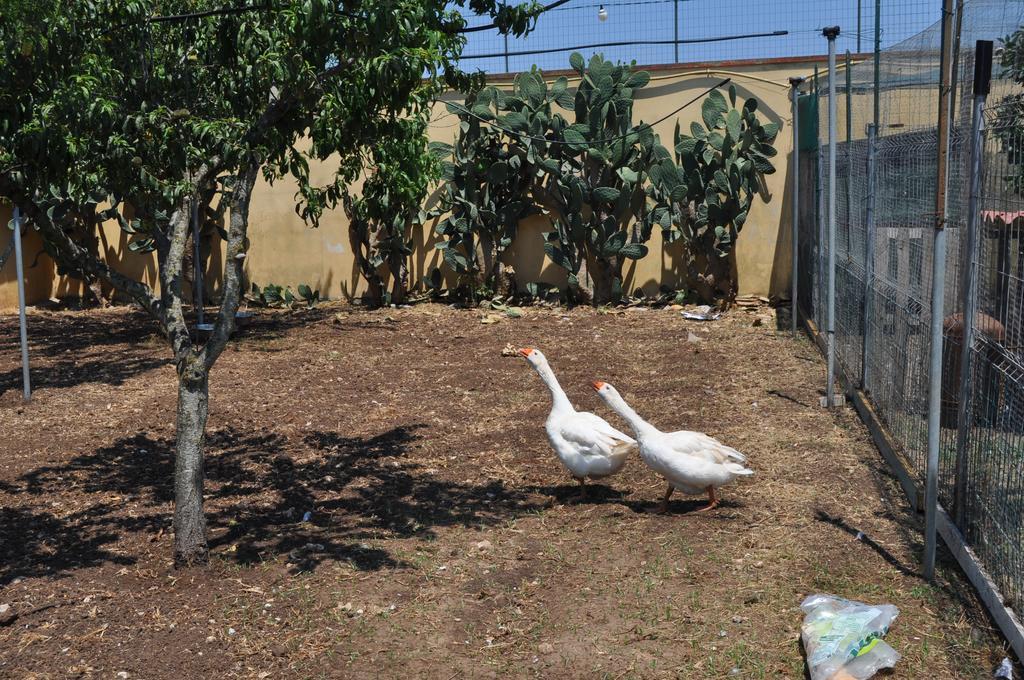 Bed & Breakfast Giardini Di Marzo Lecce Exteriör bild